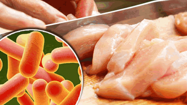 Persona manipulando carne de pollo con imagen insertada de la bacteria salmonella.