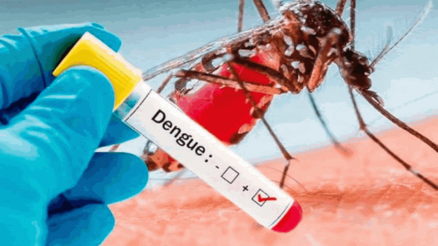 Mosquito más tubo de sangre con etiqueta Dengue