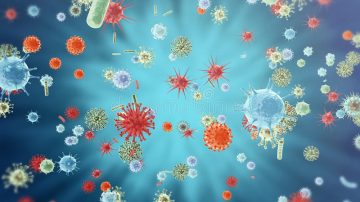 Ilustraciónde diversos virus respiratorios virus respiratorios